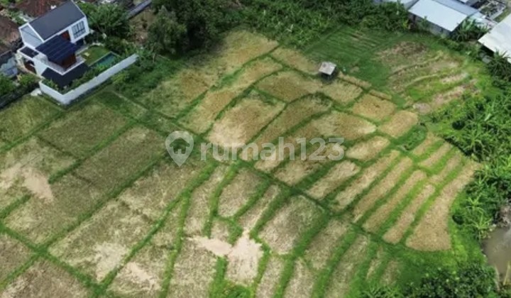 Land for Rent 40 Are SHM in Buduk.......