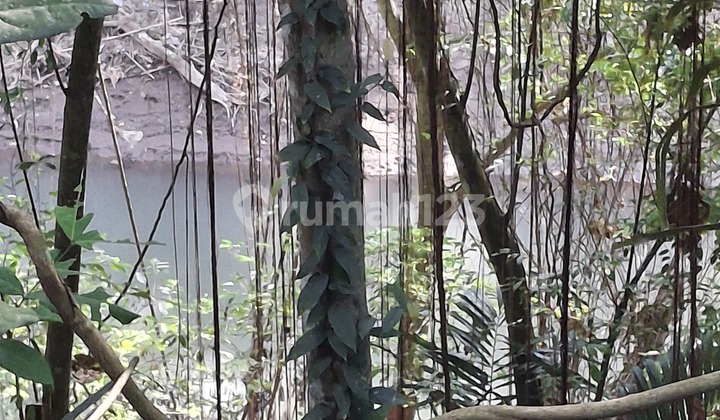 For Rent 20 Are Land with Certificate in Kaba-Kaba.. For Rent 20 Are Land with Certificate in Kaba-Kaba..