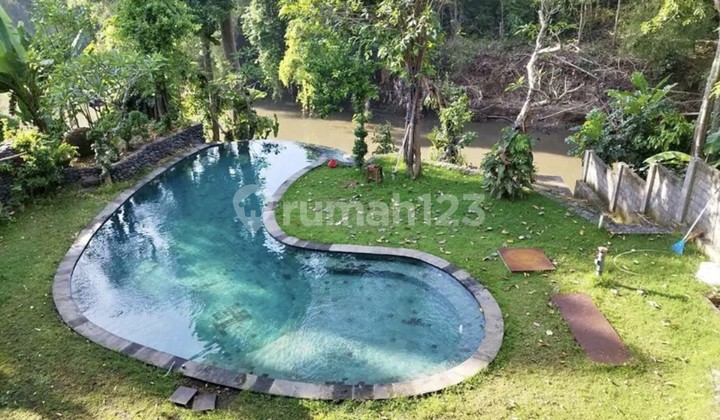 For Rent Land 15 Are SHM Los Sungai ...