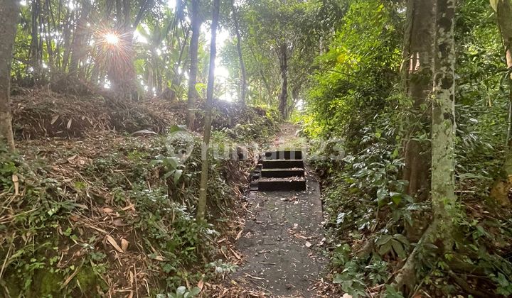 For Rent 15 Are SHM Land in Kaba-Kaba