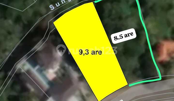 Dijual Tanah 17 Are SHM di Munggu Green Lot