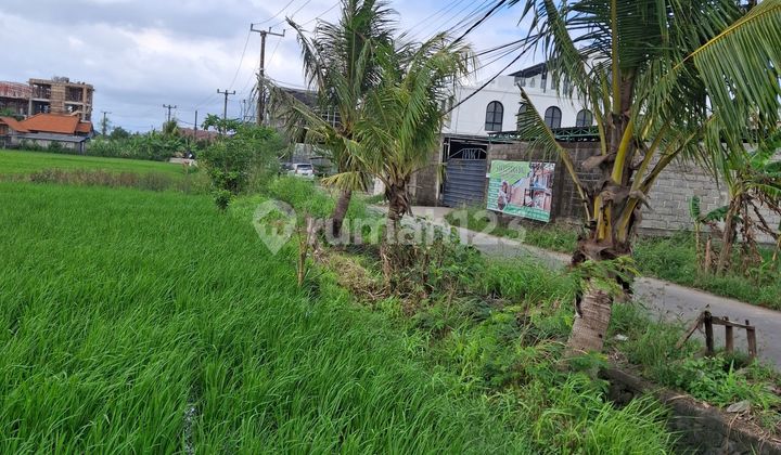 Land for Rent 24 Ares. SHM in Cemagi - Beach Land for Rent 24 Ares. SHM in Cemagi - Beach