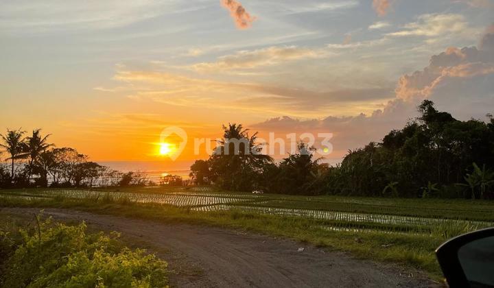 Dijual Tanah Di Tibubiyu - Pasut Shm 2600 M2  1