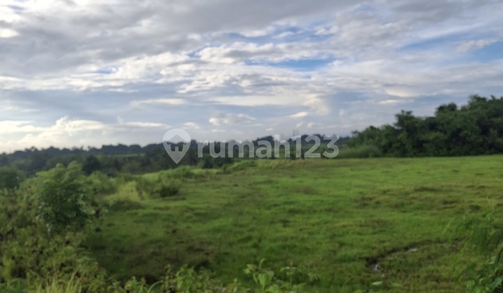 For Rent 35 Are SHM Land in Munggu....