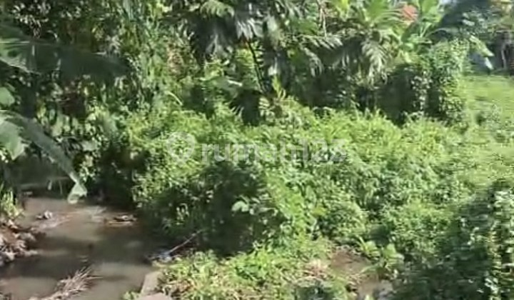 For Rent 4.7 Are SHM Land in Buduk - Canggu