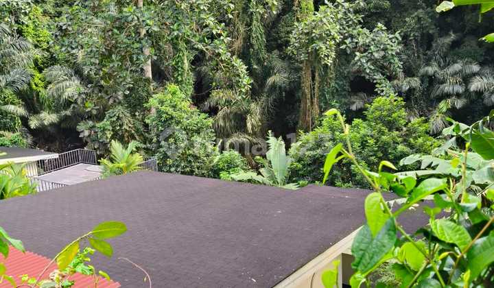 Land for Rent 10 Ares in Cepaka - Selingsing