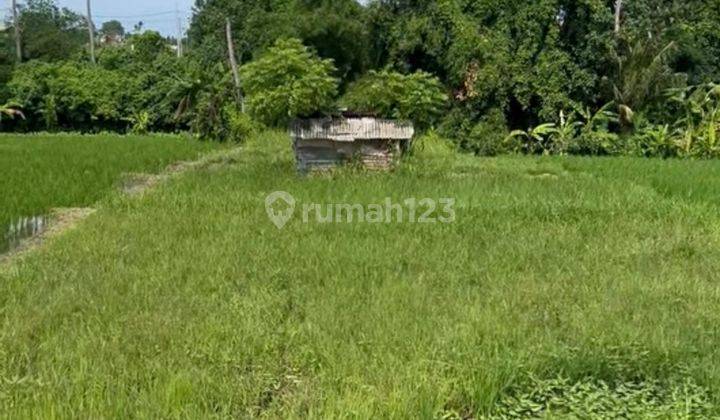 Tanah Di Munggu, SHM - Sertifikat Hak Milik 9 are 1