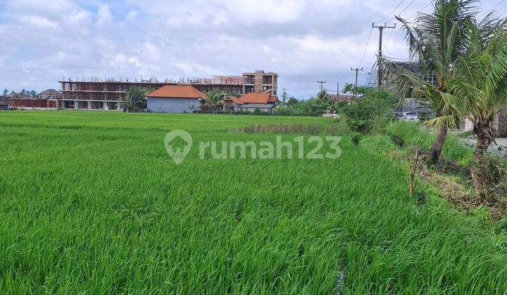 For Rent 25 Are Land Located in Cemagi