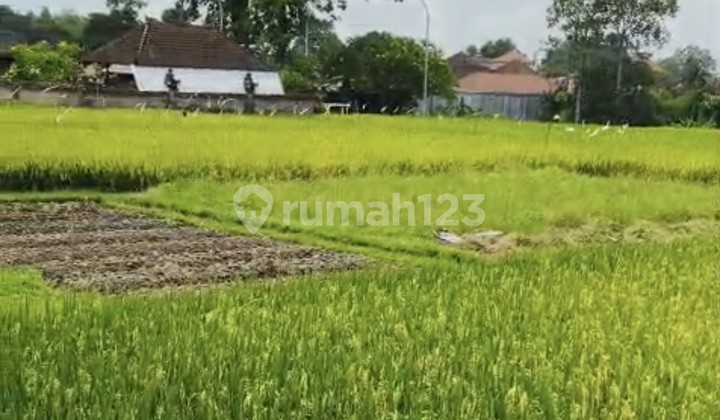 For Rent 18 Are Land with SHM in Buduk..........
