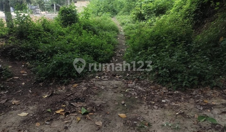 Disewakan Tanah 20 Are Shm Di Buwit - Tabanan