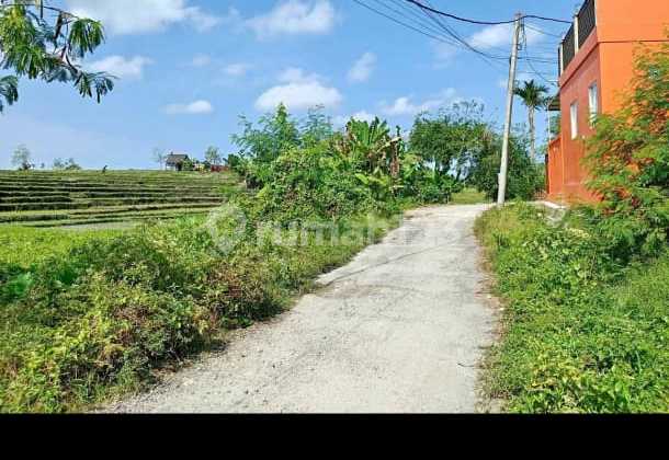 For Rent Land 25.are Shm In Cepaka....