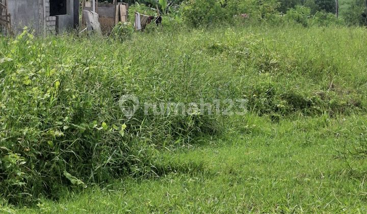 Land for Rent 40 Are. SHM at Seseh Beach.