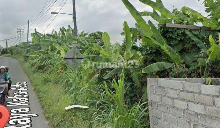 Tanah Sewa 20 Are Main Road Kaba-kaba Shm 1