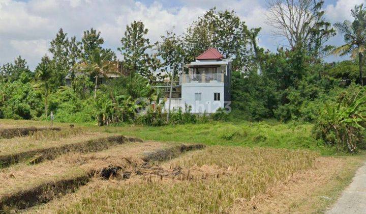 Tanah 50 Are Di Cepaka-buduk, Sertifikat Hak Milik 2