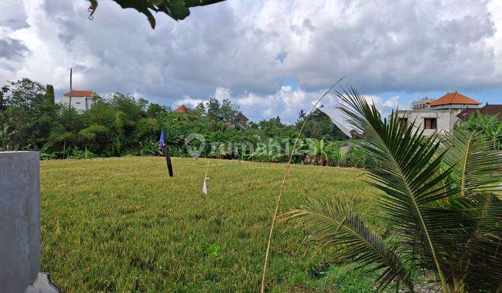 Land for rent 9 are SHM Canggu-Jln Beringin 1