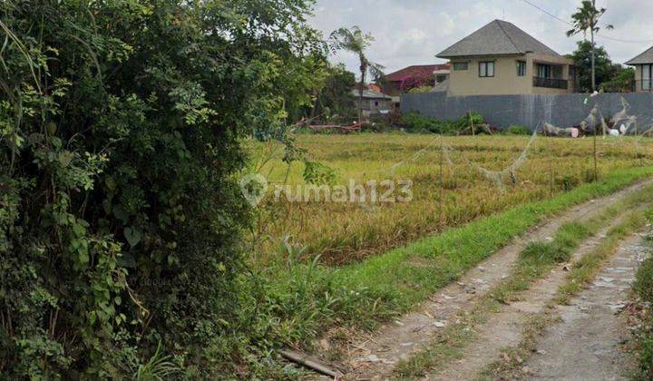 Land for rent 46 are SHM Semat Berawa Yellow 2