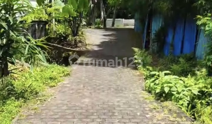 Dijual Tanah 13 Are Shm Di Pererenan-tiying Tutul