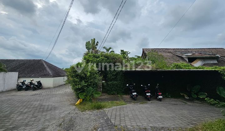Dijual Tanah.+ Bonus Villa 10 Are SHM di Canggu- Padonan