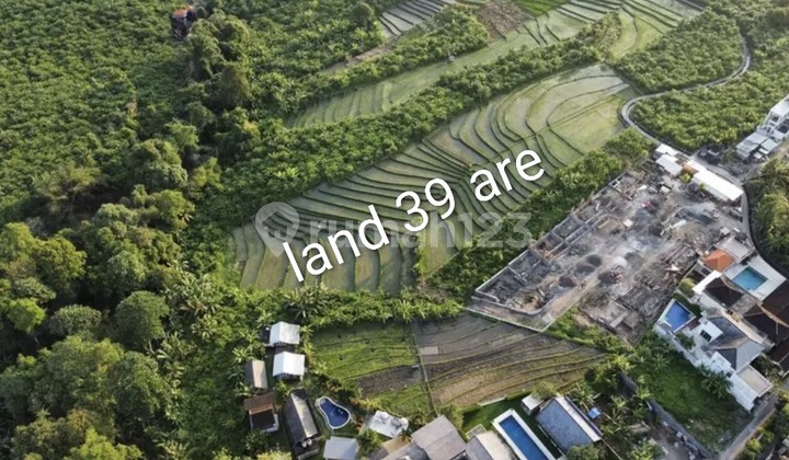 For Rent 39 Are Land with SHM in Tumbakbayuh For Rent 39 Are Land with SHM in Tumbakbayuh
