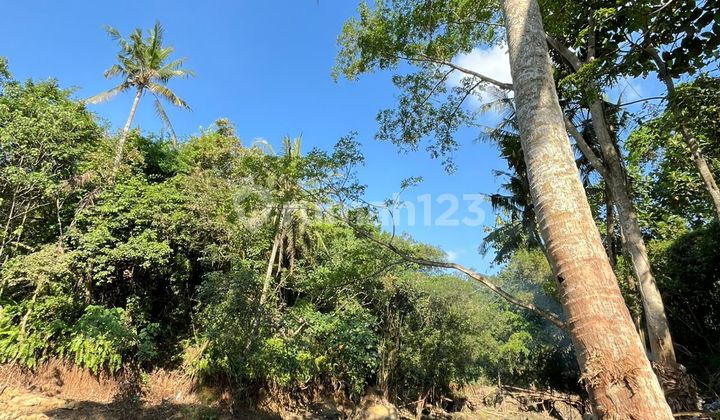 For Rent 37 Are Land with SHM in Cepaka - Los Sungai