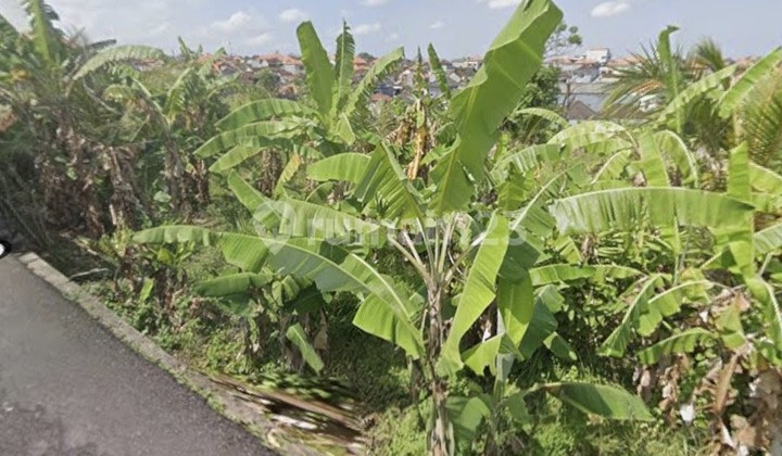 Land for Rent 10 Are with SHM in Padonan, Canggu Land for Rent 10 Are with SHM in Padonan, Canggu