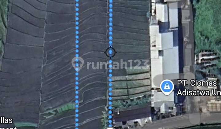 Dijual Tanah 29 Are SHM di Kaba- Kaba...