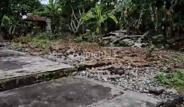 Land for rent 2 are SHM Canggu- Buduk 2