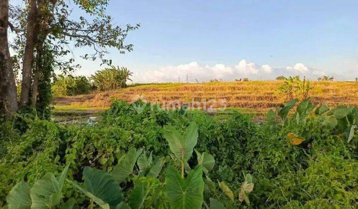 Tanah Cepaka., Sertifikat Hak Milik 10 Are 1