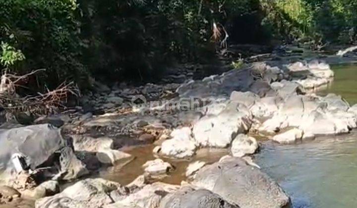 Dijual Tanah 50 Are Shm Di Buwit - Kaba Kaba 1