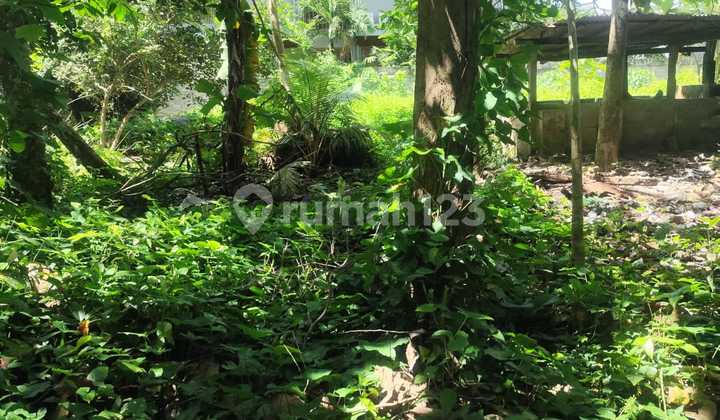 For Rent Land 8 Are Shm In Kaba-kaba.. For Rent Land 8 Are Shm In Kaba-kaba..