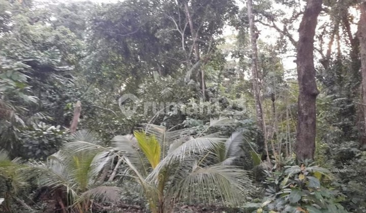 Land for Rent 8.8 Are SHM in Kaba-Kaba.