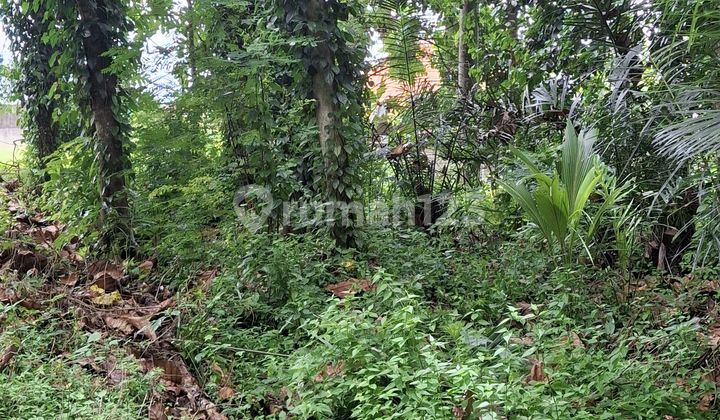 For rent. 20 are land with certificate at Cepaka-Bebengan. For rent. 20 are land with certificate at Cepaka-Bebengan.