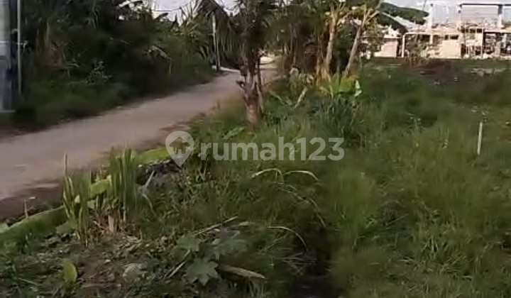 Disewakan Tanah 17 Are Shm Di Seseh Beach