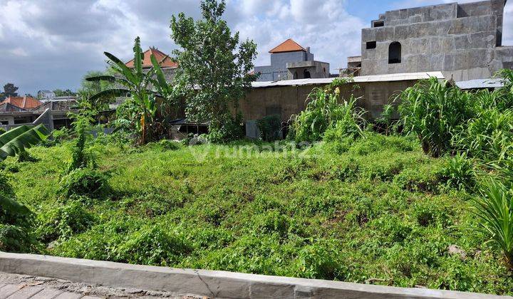 Land for rent 15 are SHM Canggu- Buduk 2