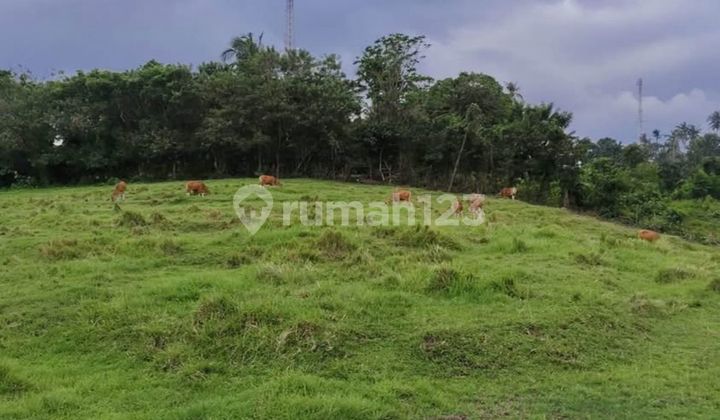 Dijual Tanah 50 Are Shm Di Balian-.beach Dijual Tanah 50 Are Shm Di Balian-.beach