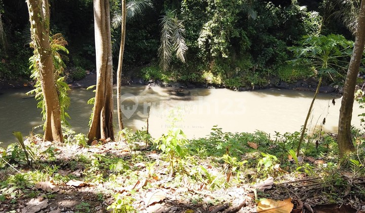 Land in Cepaka SHM 33 Are View River and Jungle
