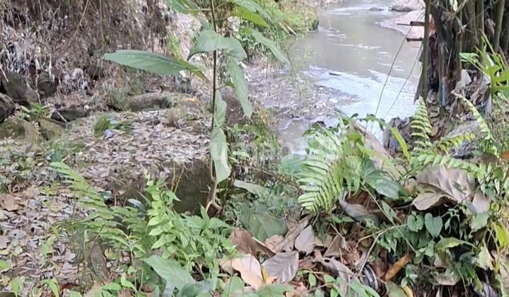 For Sale 14 Ares of Land with Certificate (SHM) in Cepaka - Selingsing. For Sale 14 Ares of Land with Certificate (SHM) in Cepaka - Selingsing.