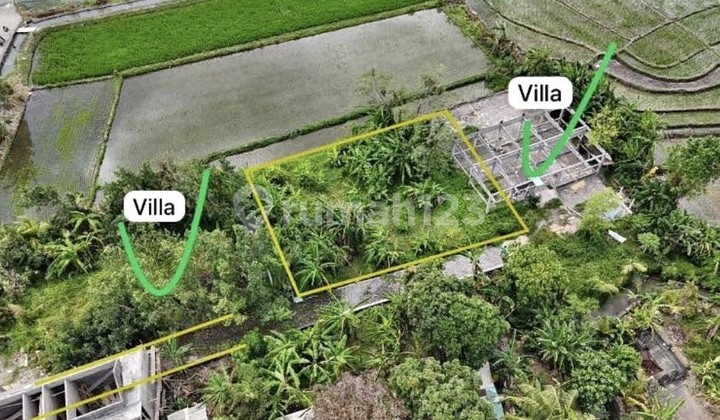 For Rent 5 Are Land with SHM Certificate in Cemagi-Munggu. For Rent 5 Are Land with SHM Certificate in Cemagi-Munggu.