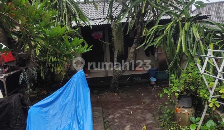 For Rent: Local House 3.5 Are SHM in Beraban-nyayi