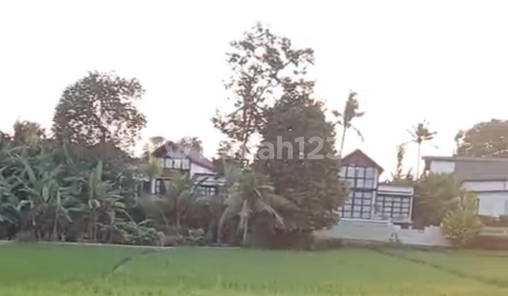 Dijual Tanah 30 Are Shm Di Kaba-kaba....