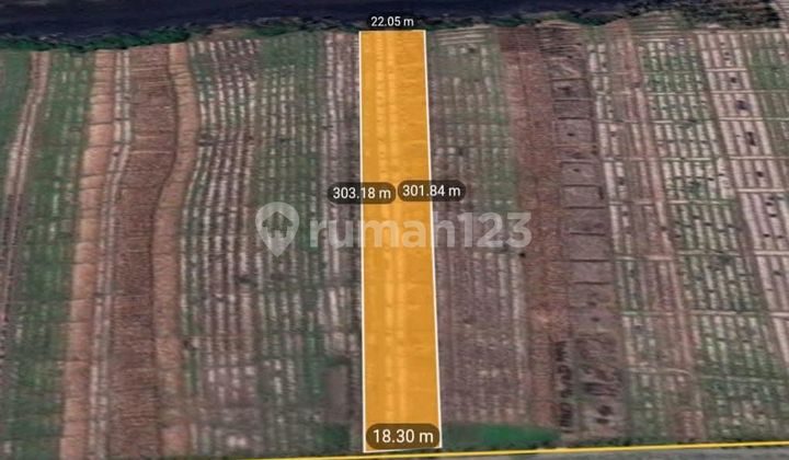 Tanah Dijual 42 Are Los Pantai Pasut Zona Pink 1