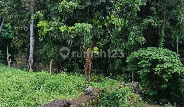 For Sale 17 Ares SHM Land in Cepaka-Munggu