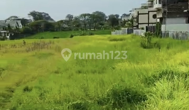 For Rent 35 Are SHM Land in Pererenan .. For Rent 35 Are SHM Land in Pererenan ..