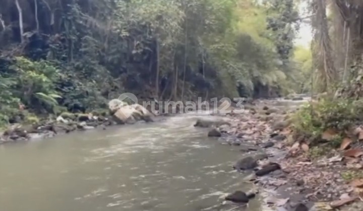 For Rent 20 Are.shm Land in Cepaka- Bebengan