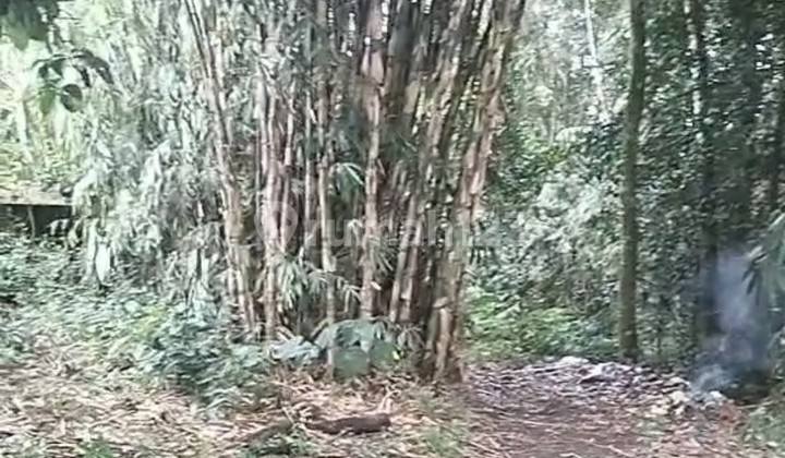 For Rent 20 Are Land with SHM in Buwit .....