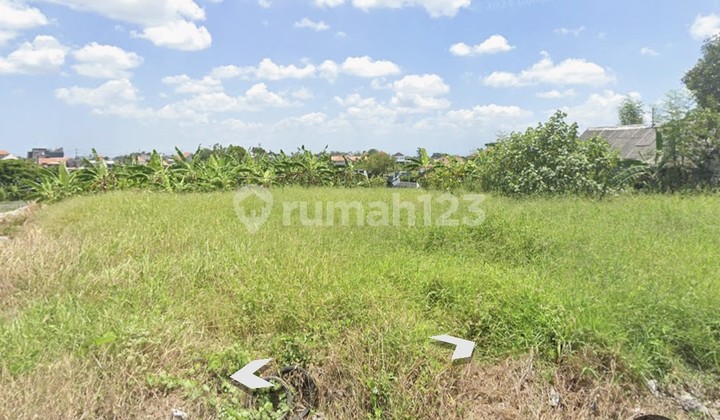 Disewakan Tanah 19 Are Shm Di Canggu - Abasan