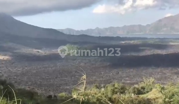 Land for Sale 55 Are with SHM in Kintamani....