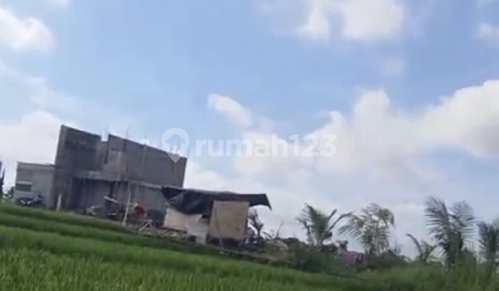 For Rent 50 Are Land with SHM in Nyayi.....