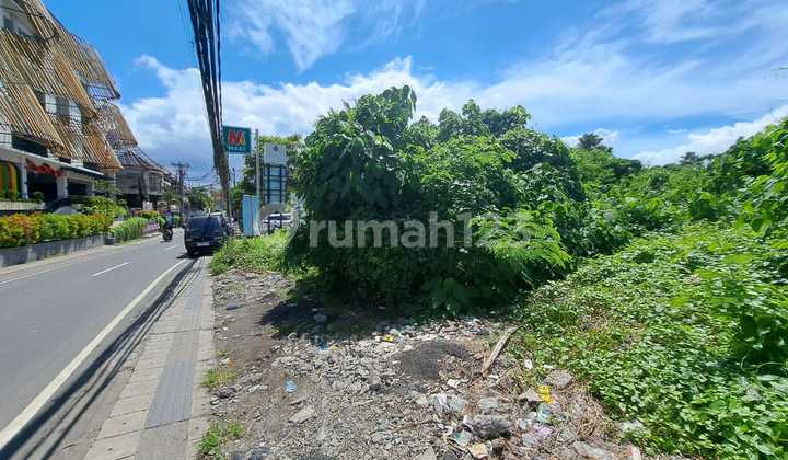 Disewakan Tanah 24 Are SHM di Canggu - Berawa Disewakan Tanah 24 Are SHM di Canggu - Berawa