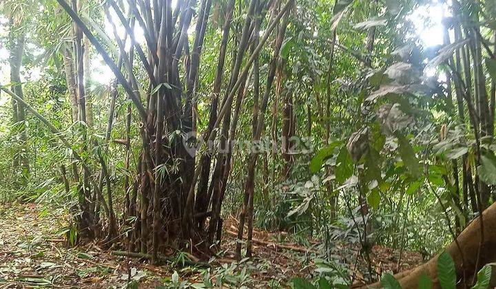 Tanah 26.5 Di Nyambu, Kaba Kaba Sertifikat Hak Milik 2